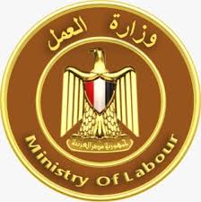 وزارة العمل: 3209 فرصة عمل جديدة في 14 محافظة.. ودمج ذوي الهمم ضمن الأولويات